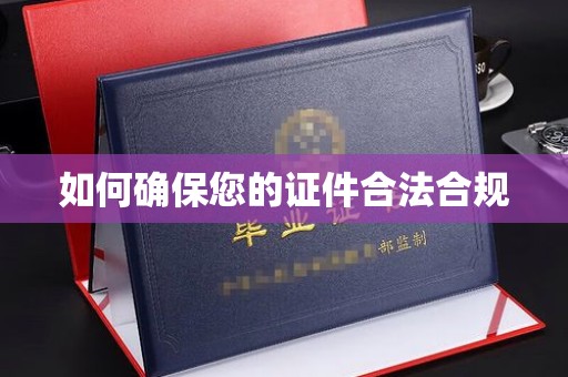 高港如何确保您的证件合法合规