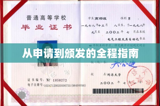 高港从申请到颁发的全程指南