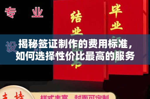 高港揭秘签证制作的费用标准，如何选择性价比最高的服务？