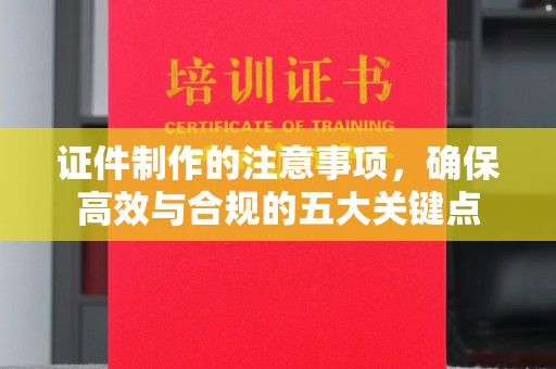 高港证件制作的注意事项，确保高效与合规的五大关键点
