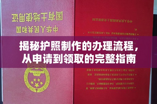 高港揭秘护照制作的办理流程，从申请到领取的完整指南
